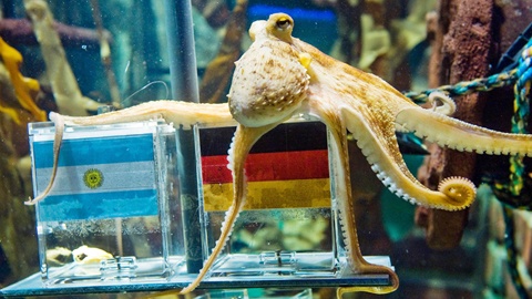 du doan euro 2016 anh 1