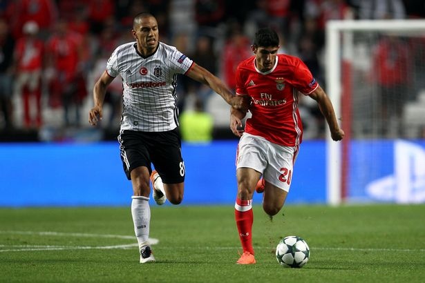 10 chan sut tuoi teen hua hen nhat the gioi anh 10