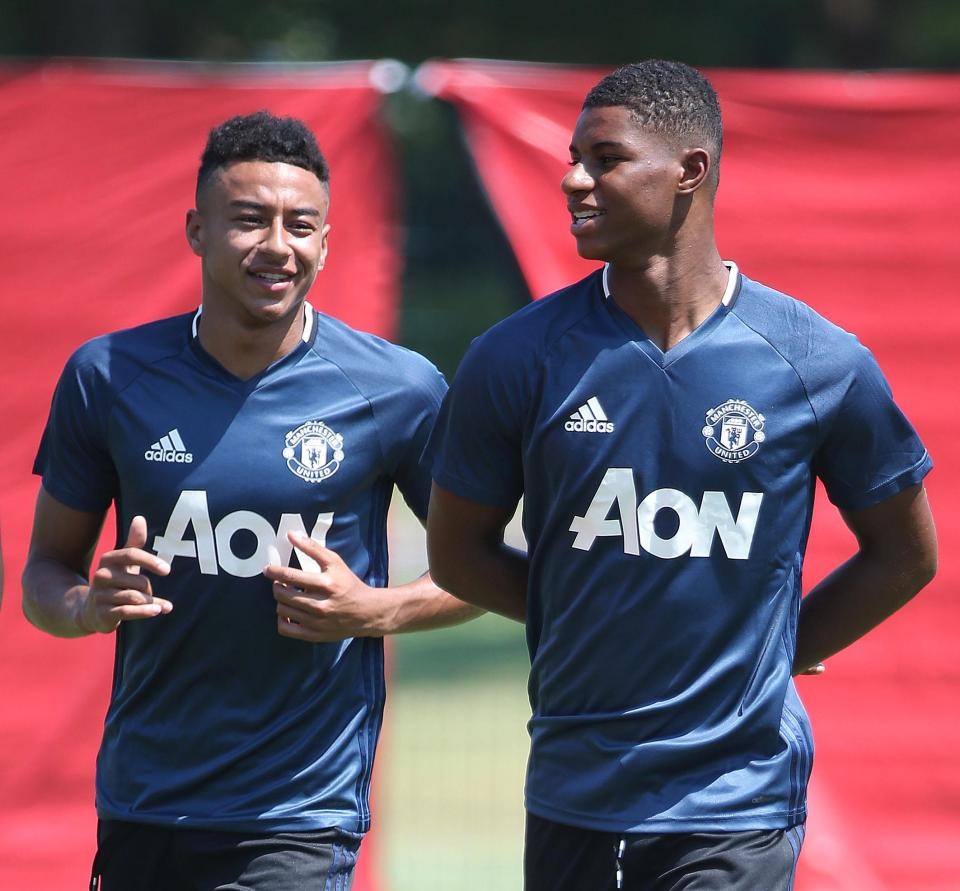 Fan phi cuoi voi biet danh hai huoc cua Ibra anh 1