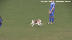 'Cau thu bon chan' lam nao loan tran dau tai Anh hinh anh