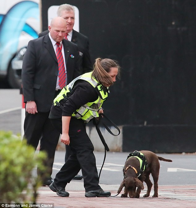 Mata tro lai sau chan thuong anh 7