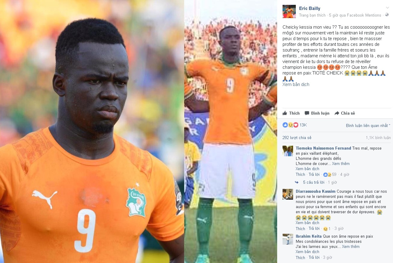 Cheick Tiote qua doi anh 2