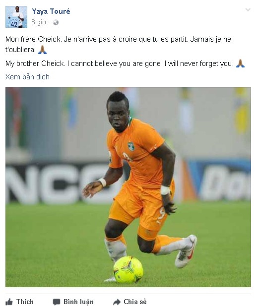 Cheick Tiote qua doi anh 3