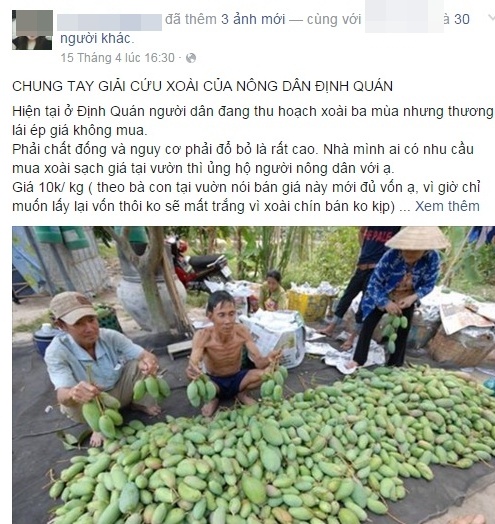 giai cuu xoai Dinh Quan anh 1