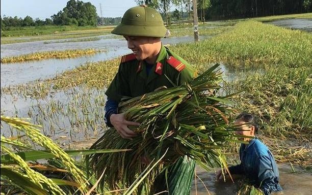 Cong an Song Lo mac canh phuc gat lua giup dan gay tranh cai hinh anh