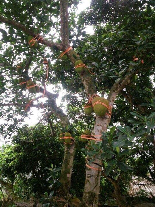 Bão số 3 ảnh 5 Bao so 3 anh 5