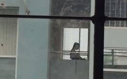 Hoc sinh THCS au yem ngay giua ban ngay tai truong hinh anh