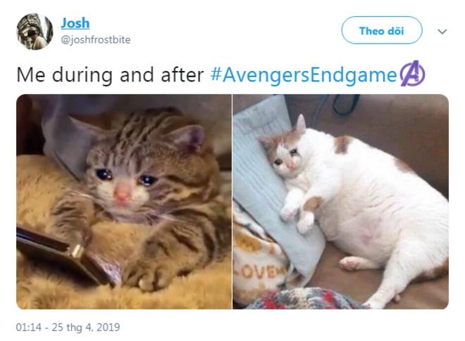 Avengers Endgame anh 3