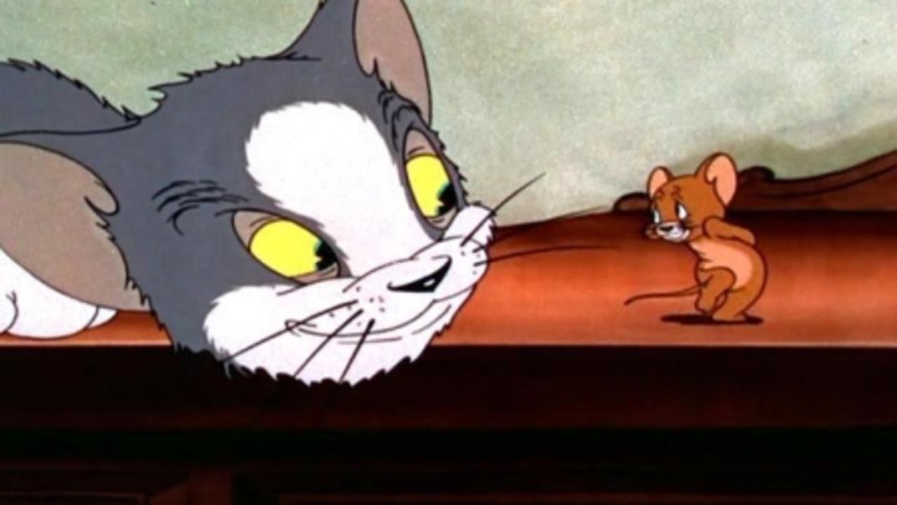Tom va Jerry,  phim hoat hinh anh 2
