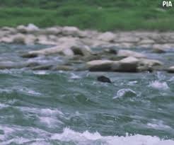 Ngoi sao hanh dong Han anh 1