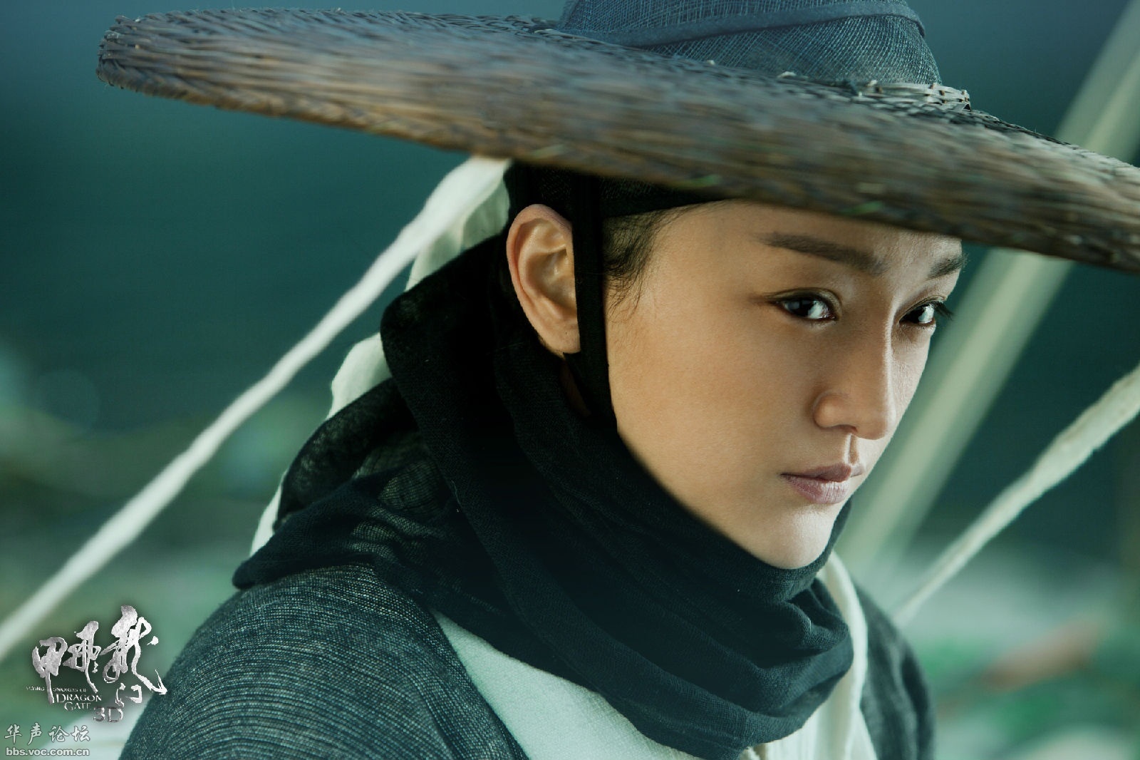 My nhan gia trai,  Luu Diec Phi,  Trieu Vy anh 5