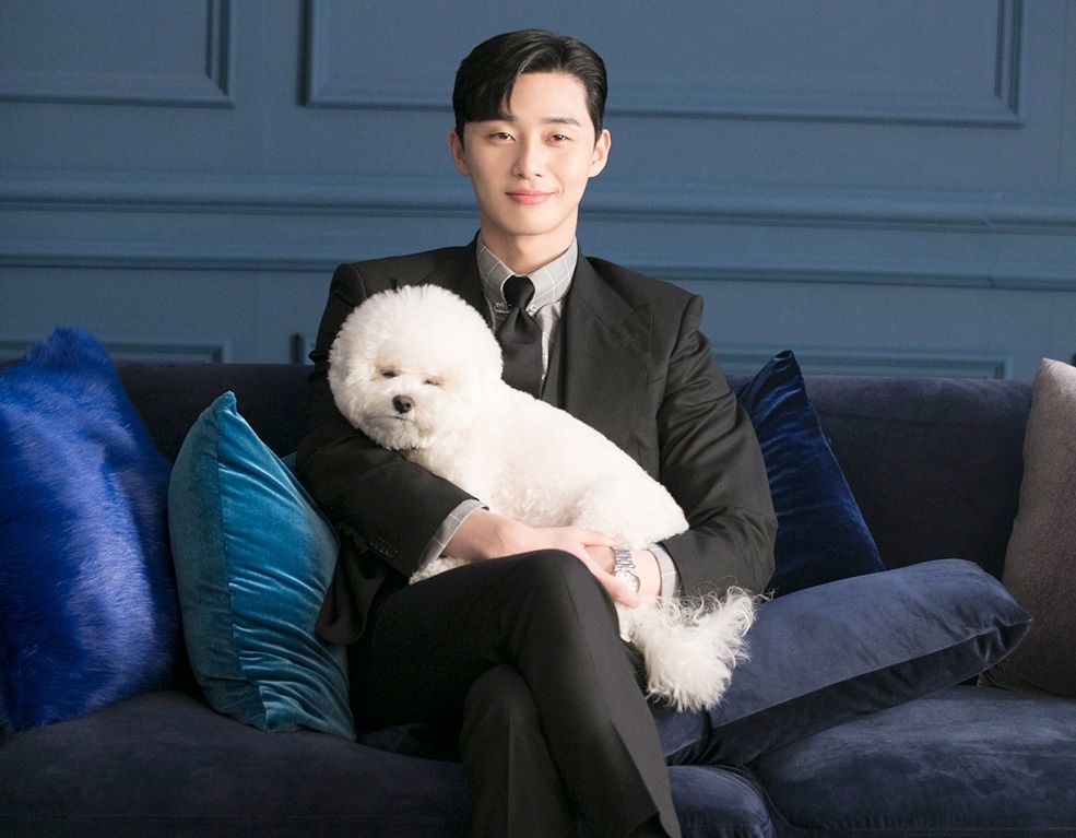 Tầng lớp Itaewon,  Itaewon Class,  Park Seo Joon,  Kim Da Mi ảnh 7 Tang lop Itaewon,  Itaewon Class,  Park Seo Joon,  Kim Da Mi anh 7