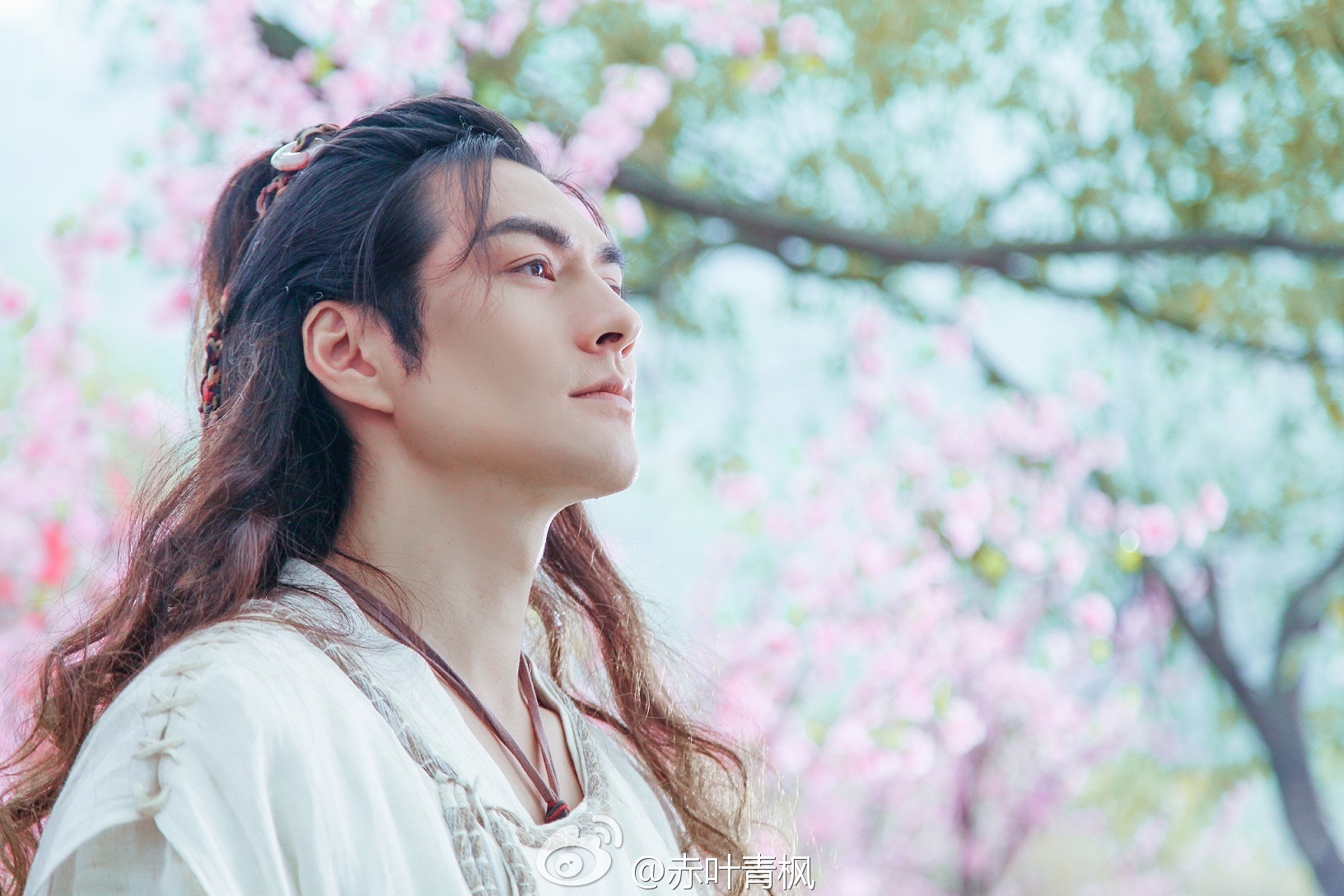 Hoac Kien Hoa,  Chung Han Luong,  Nghiem Khoan,  Kieu Chan Vu,  my nam co trang Hoa ngu anh 6