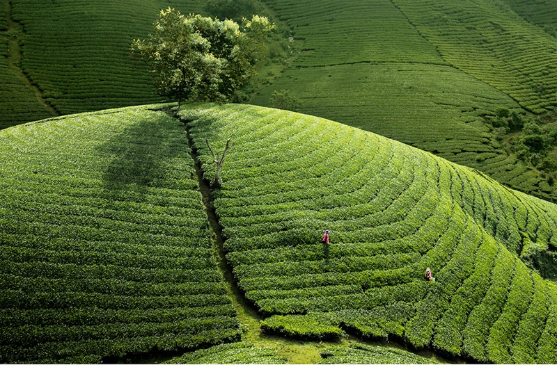 Phuot mua he giua nui rung Tan Son hinh anh