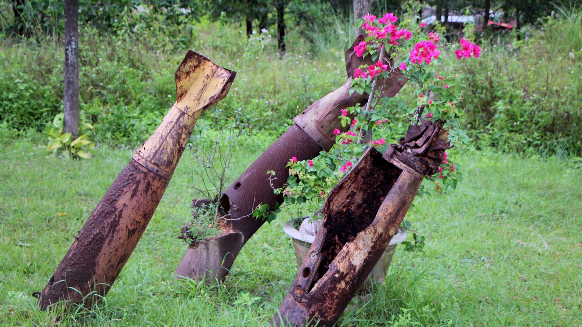 Quang Tri, manh dat hoi sinh tu coi chet hinh anh