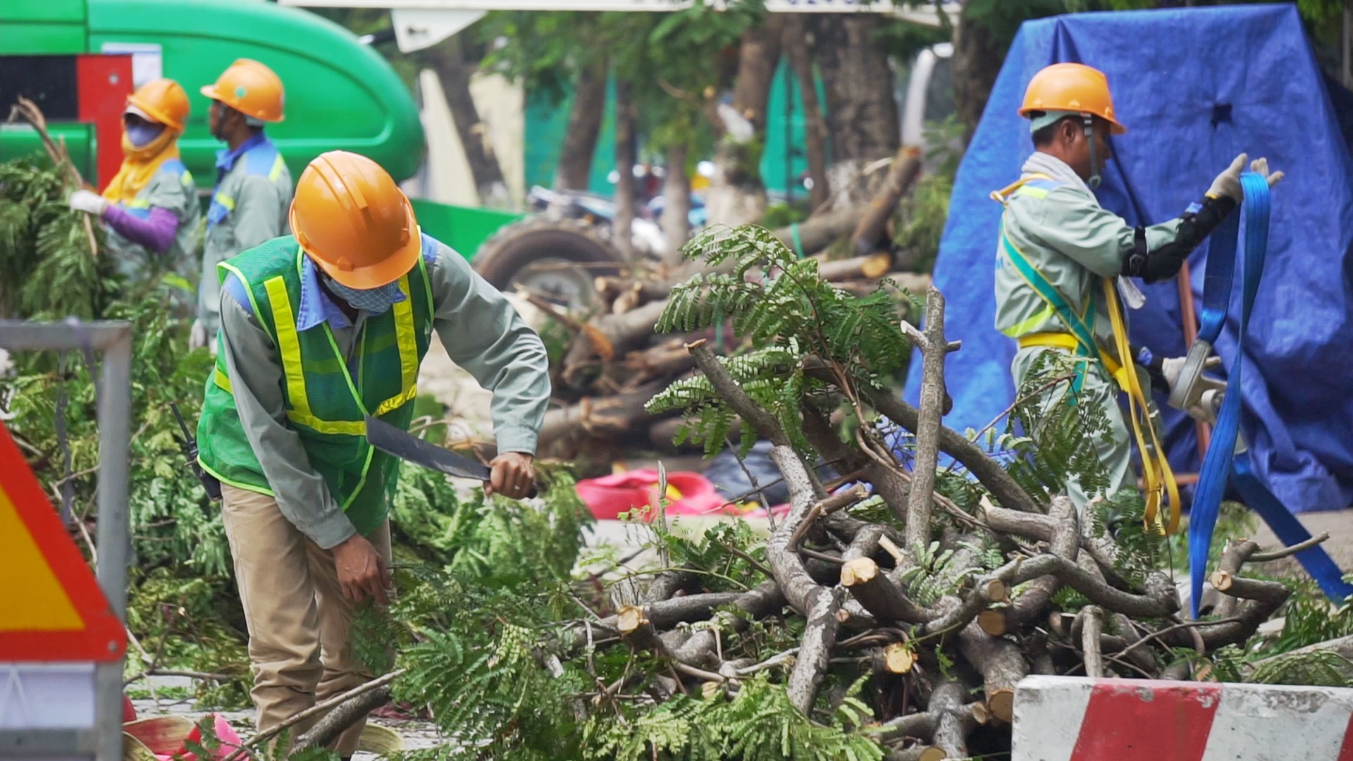 Ha Noi bat dau danh chuyen, chat ha 130 cay xanh doc duong Kim Ma hinh anh