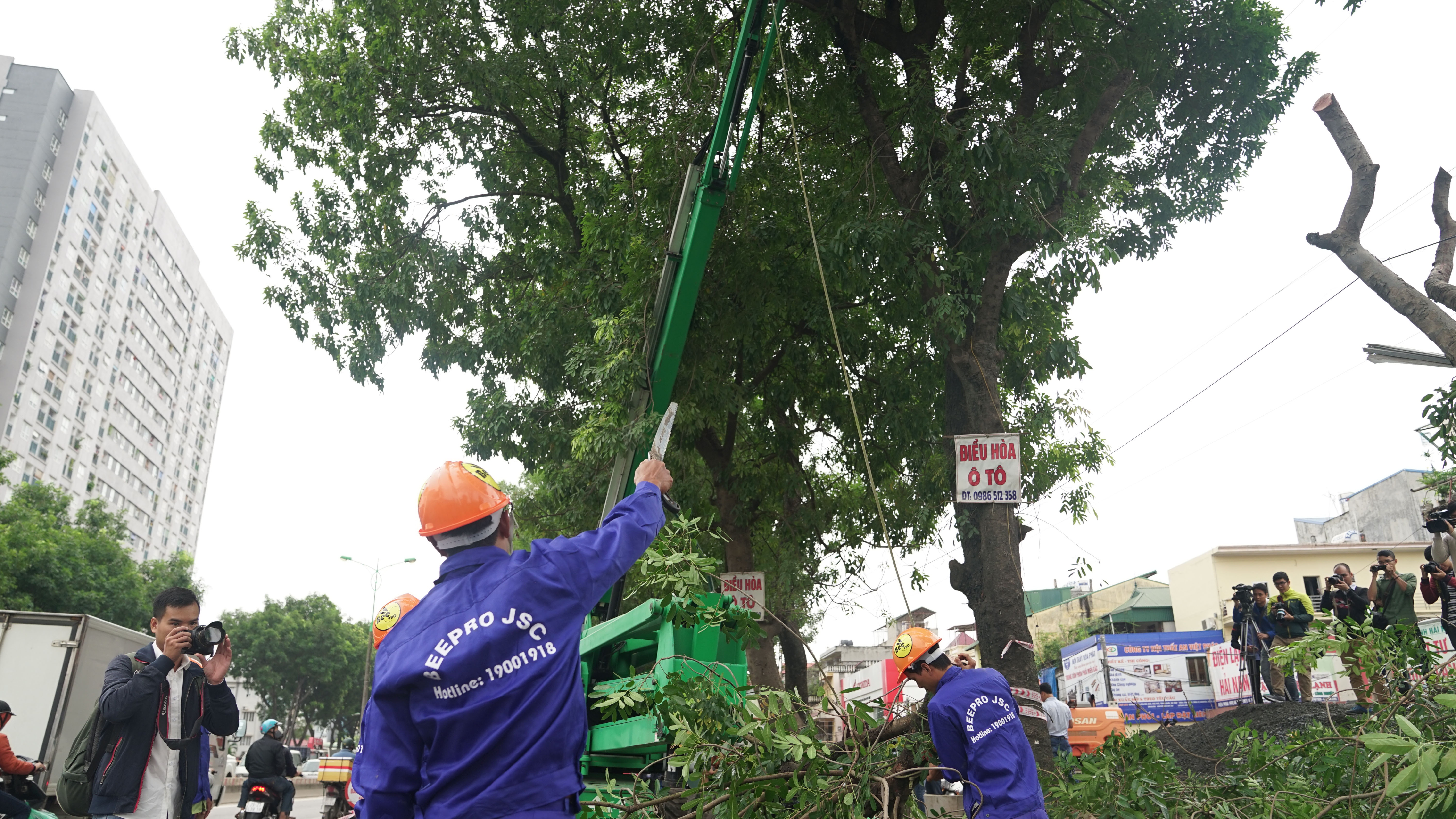 Ha Noi chat ha hang cay doc duong Pham Van Dong hinh anh