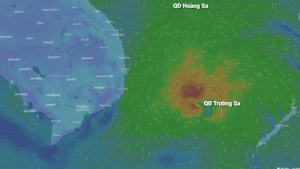 Du bao duong di cua bao so 14 ngay 18/11 hinh anh