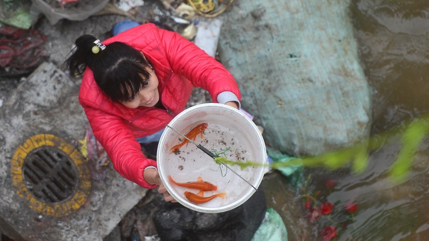 Lam rong roc giup nguoi dan tha ca tien ong Tao ve troi hinh anh