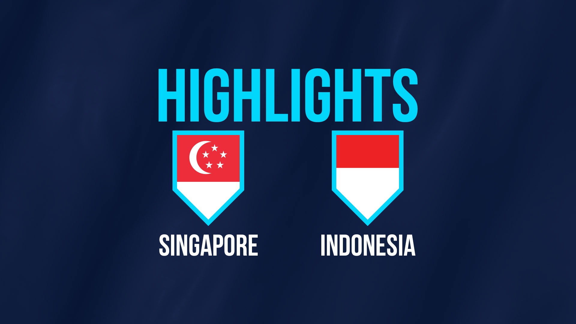 Highlights AFF Cup: DT Singapore 1-0 DT Indonesia hinh anh