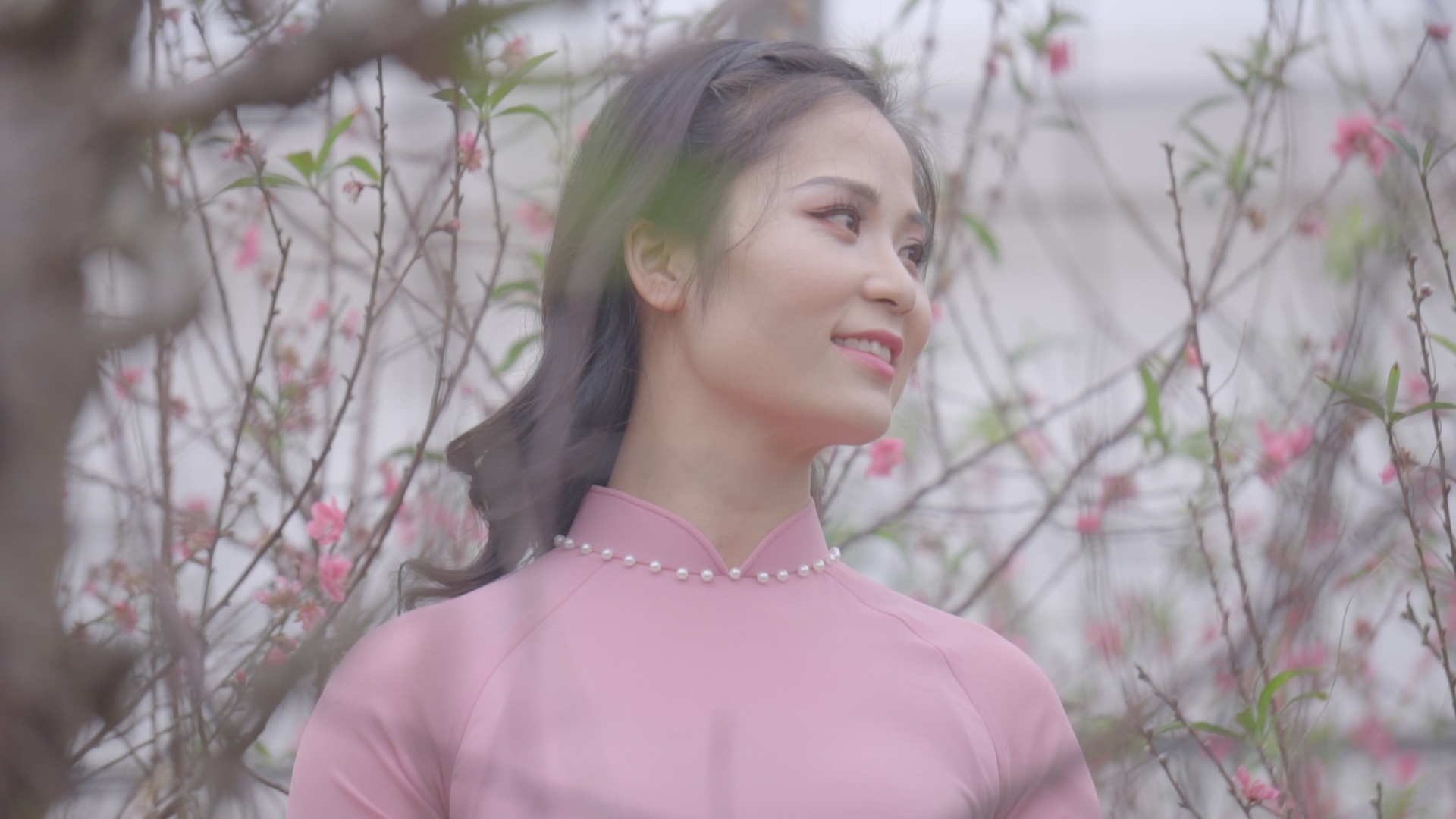 Du khach thoai mai tao dang chup anh tai vuon dao Ha Noi hinh anh