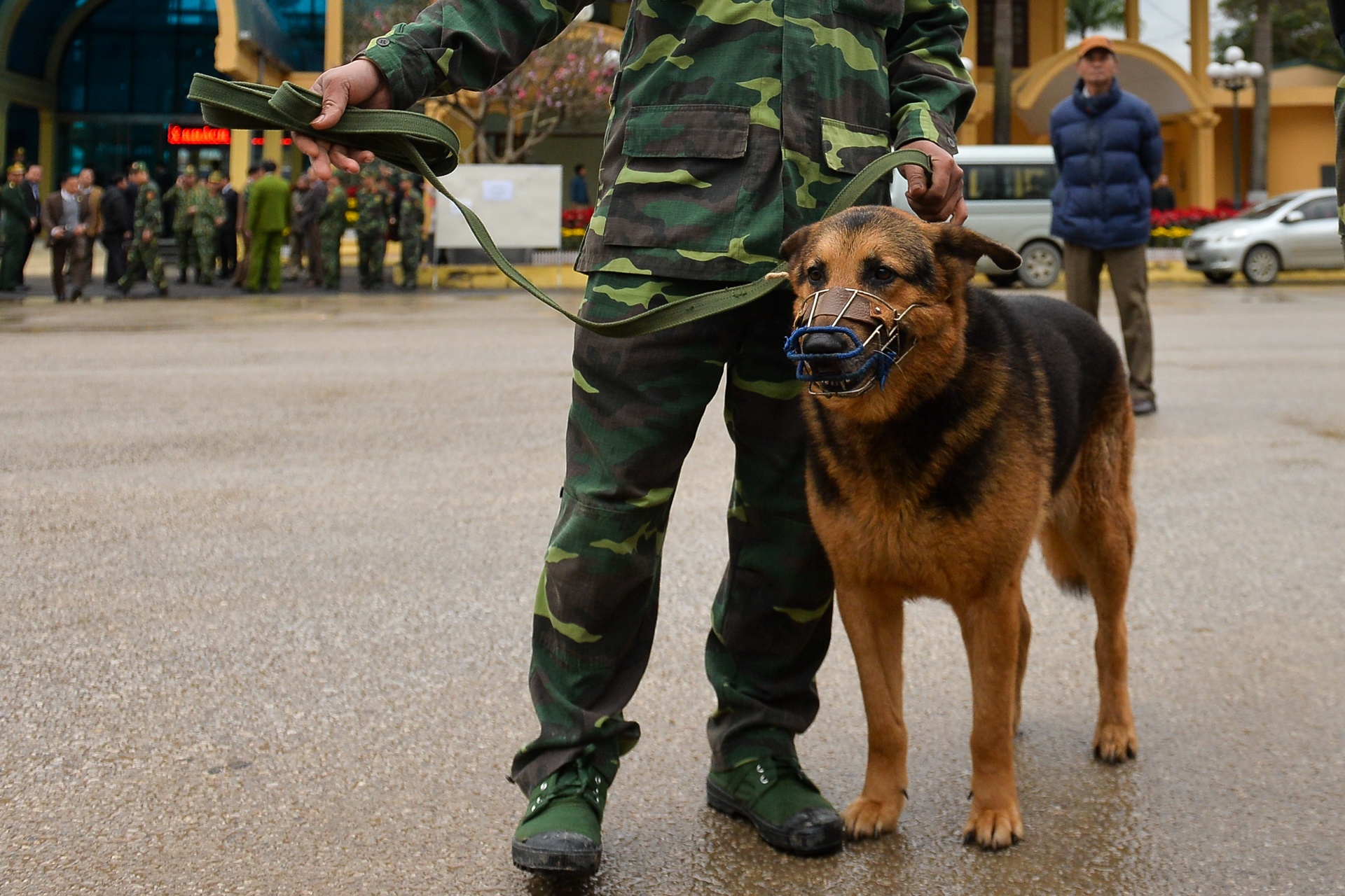 Huy dong cho nghiep vu, siet chat an ninh quanh ga Dong Dang hinh anh