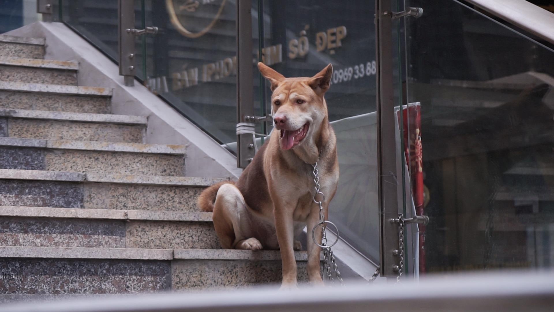 Kim tiem vuong vai o nha ga duong sat Cat Linh - Ha Dong hinh anh