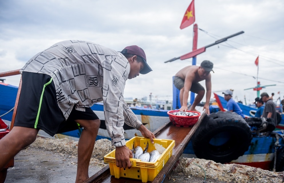 'Bao so 5 di tuong doi nhanh' hinh anh