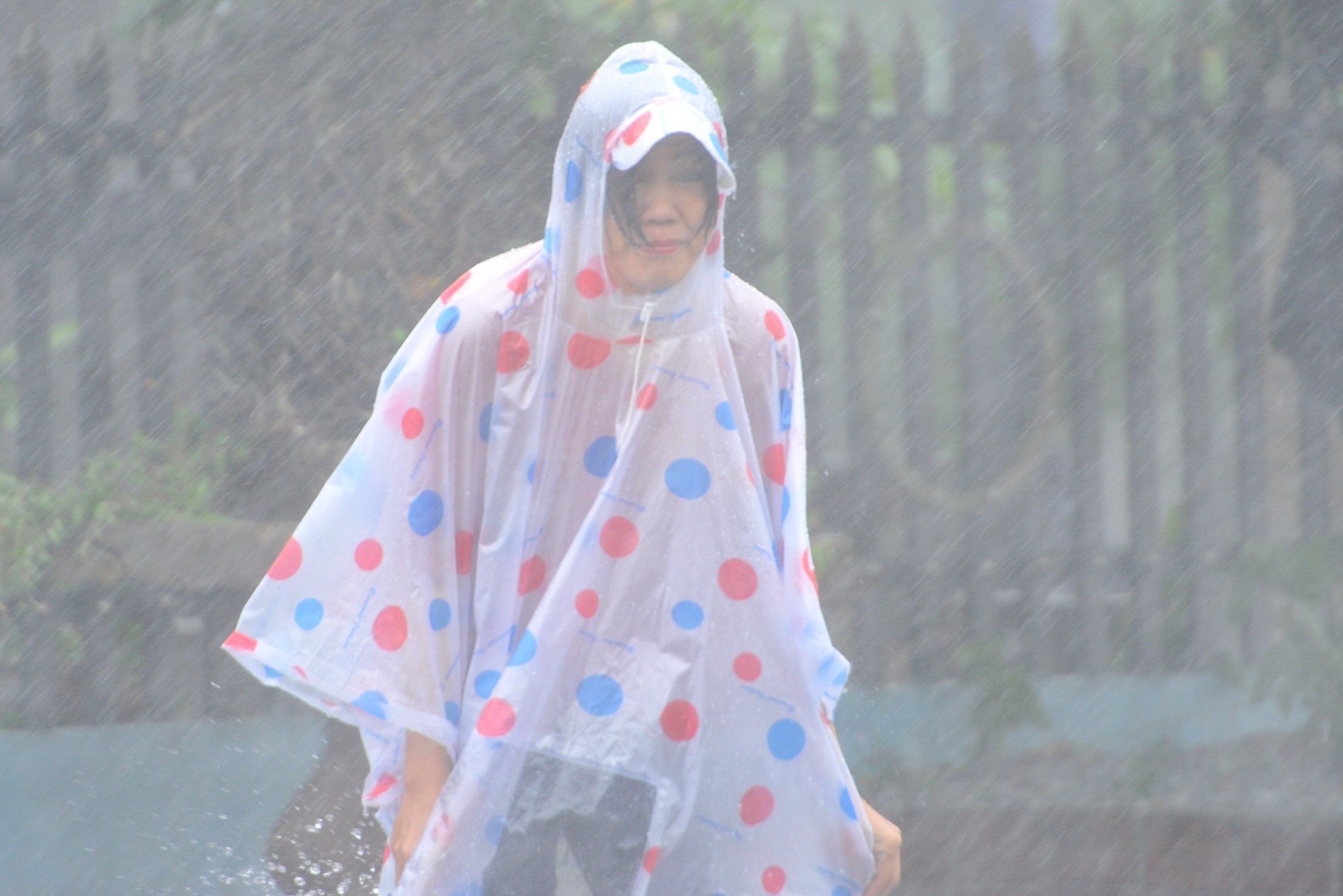 'Chua bao gio thay gio bao manh the nay' hinh anh