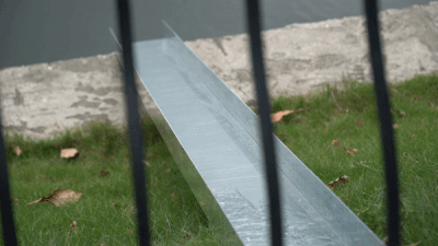 Ca chep 'truot cau' ve troi trong ngay ong Cong, ong Tao hinh anh