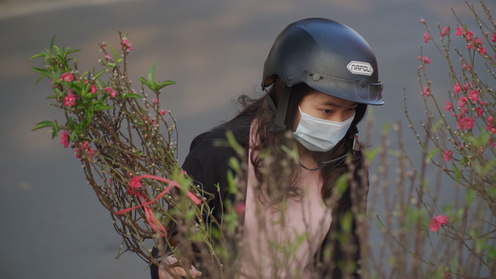 Dao, quat giam nua gia van e khach hinh anh