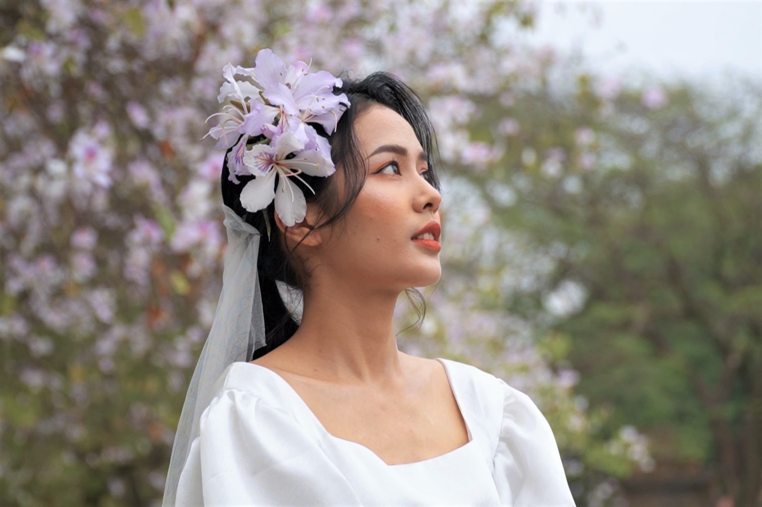 Hoa ban bung no giua long Ha Noi hinh anh