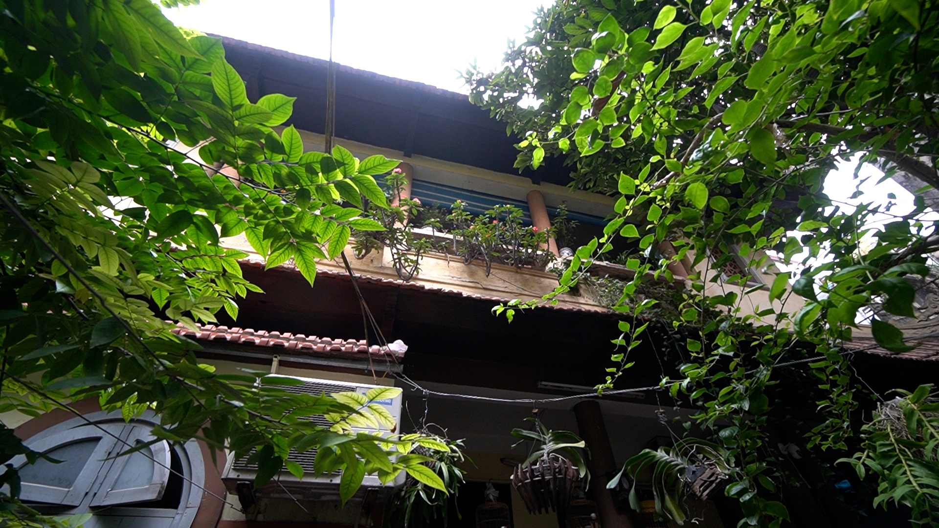 Cuoc song trong can biet thu 70 nam tuoi o pho co Ha Noi hinh anh