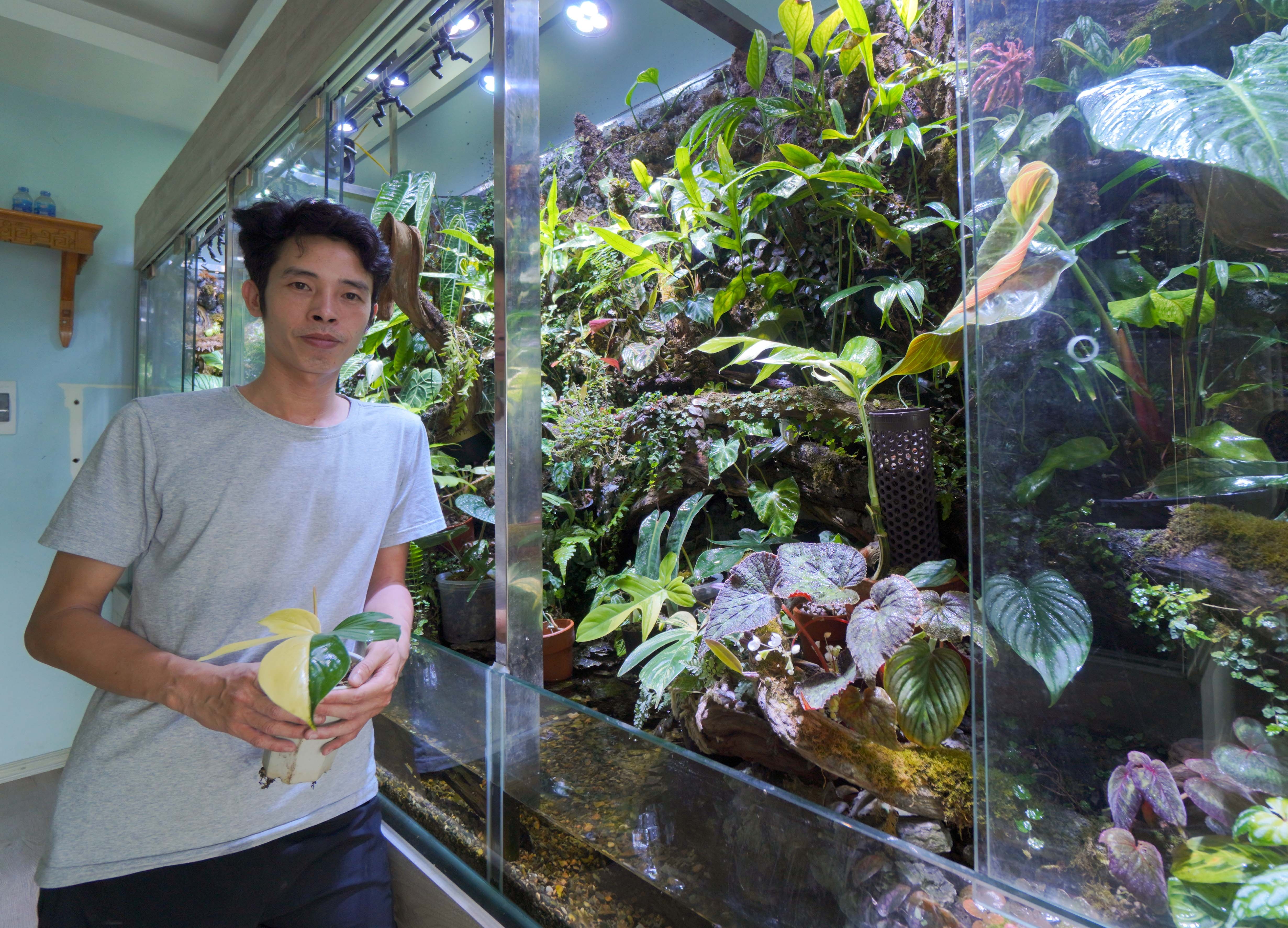 Bo tram trieu tao rung nhiet doi trong can ho chung cu hinh anh