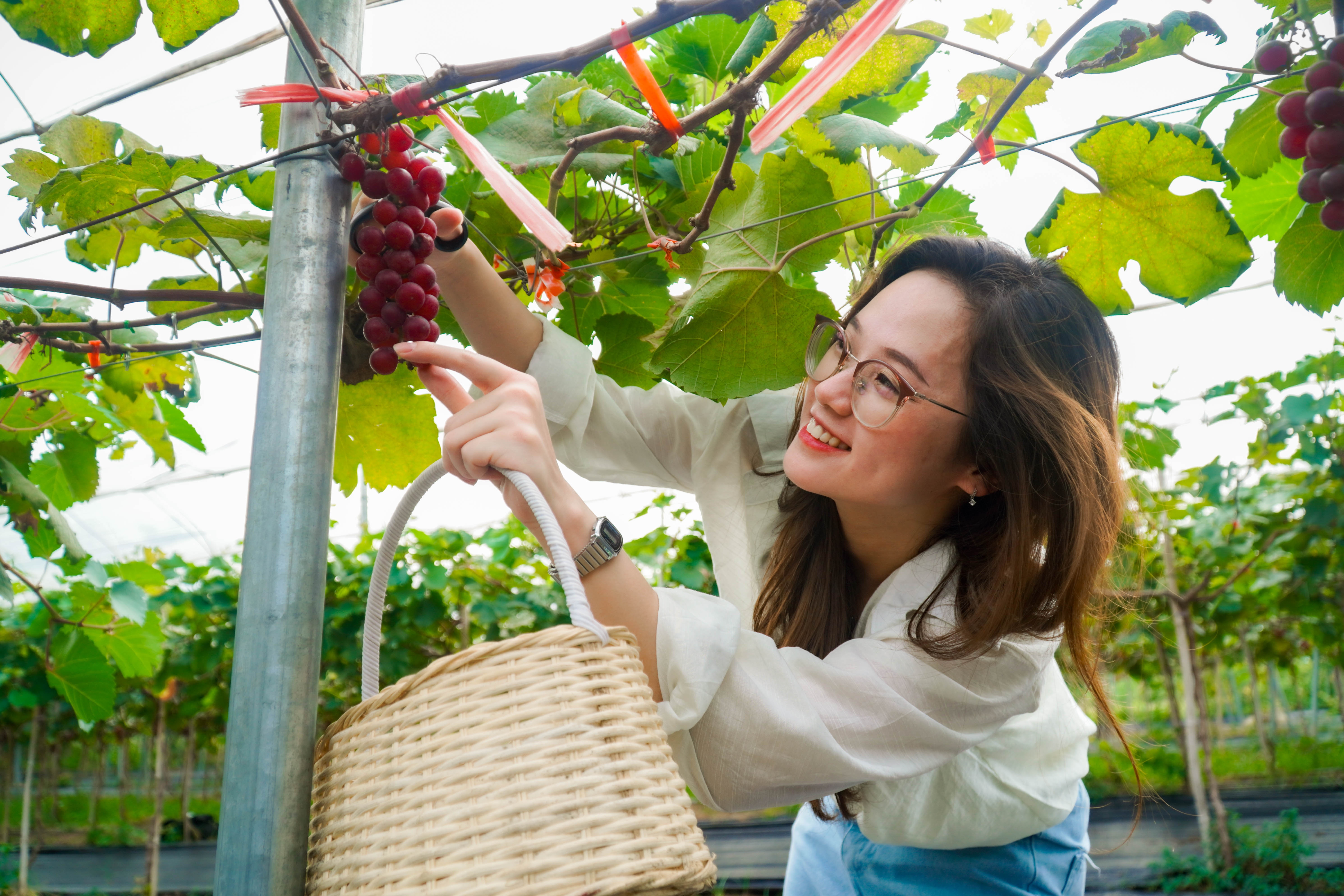 Dich vu hai nho an tai vuon duoi chan cau Nhat Tan hinh anh