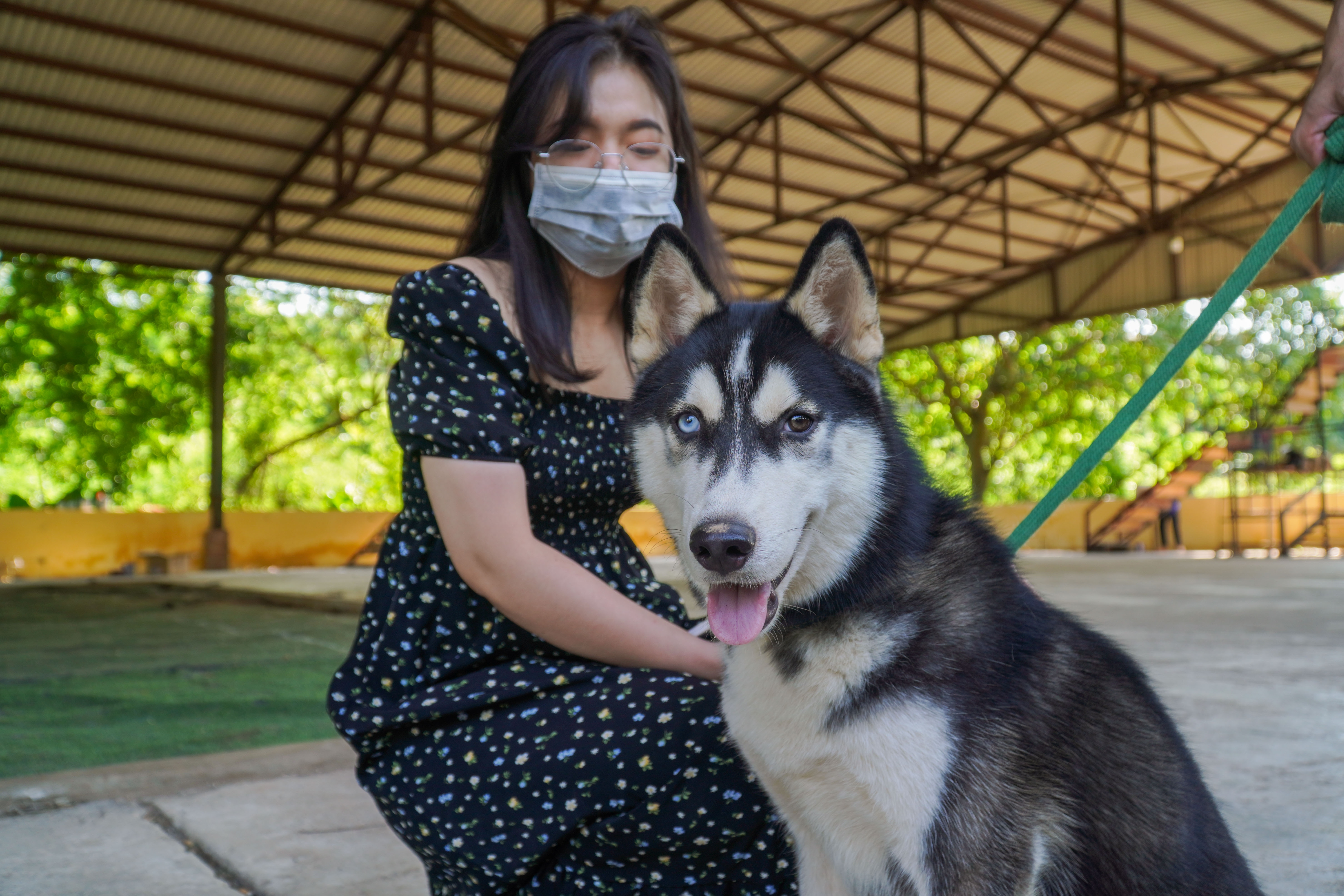 Chi chuc trieu dong cho cho cung di hoc ky luat hinh anh