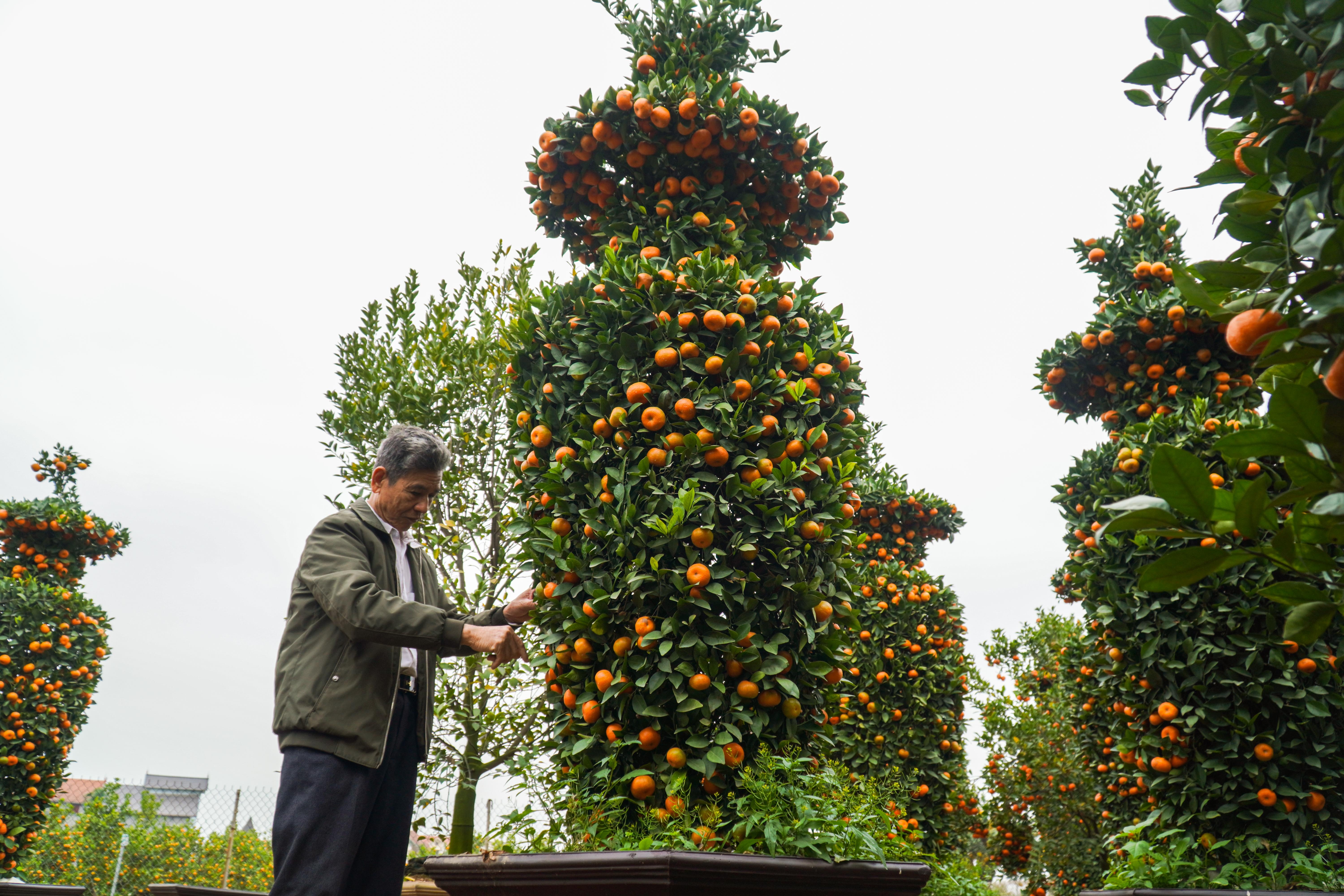 Quyt luc binh khong lo gia hang chuc trieu dong moi cap hinh anh