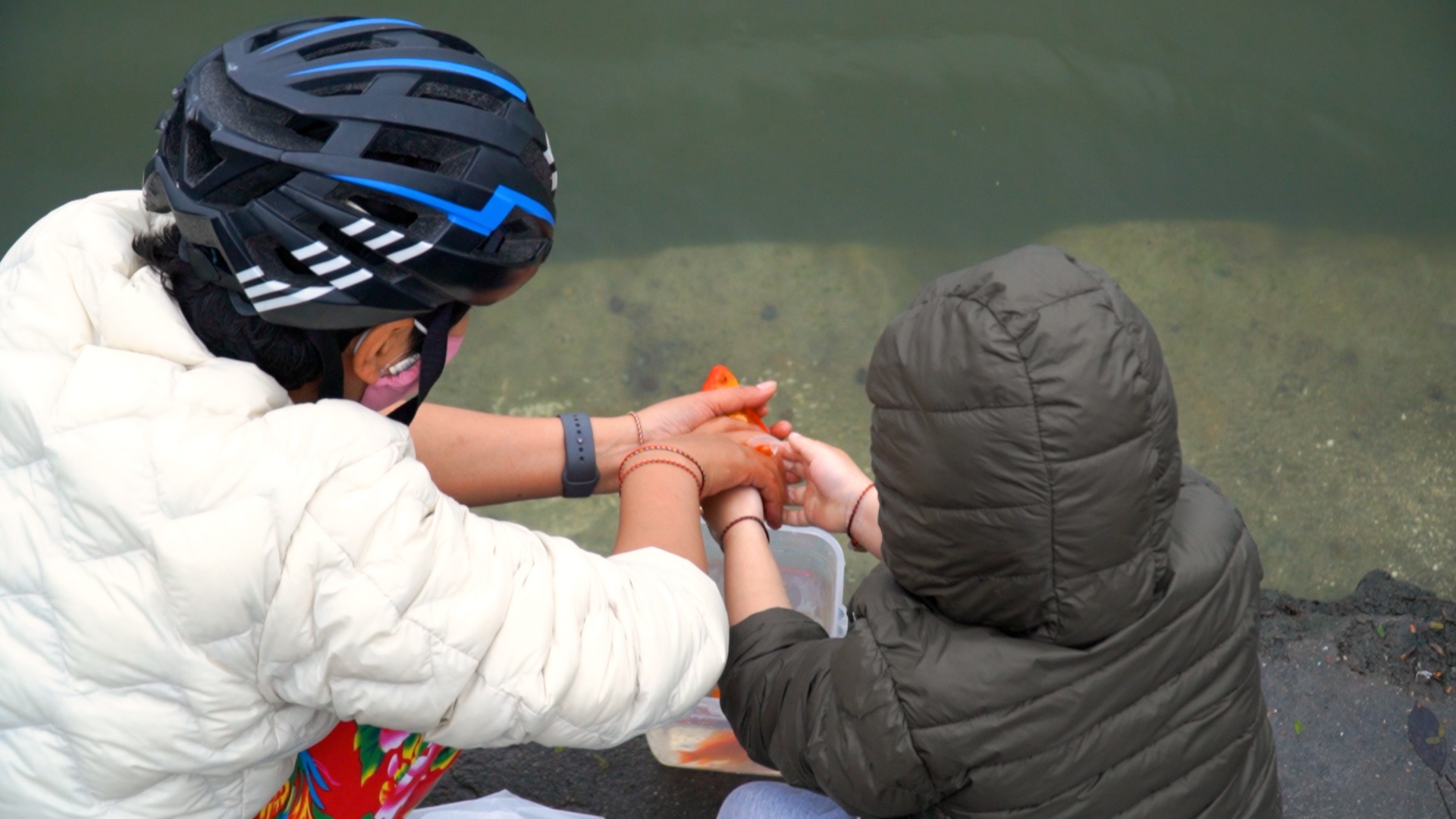 Khong con canh ngap tui bong sau khi tha ca tien ong Cong ong Tao hinh anh