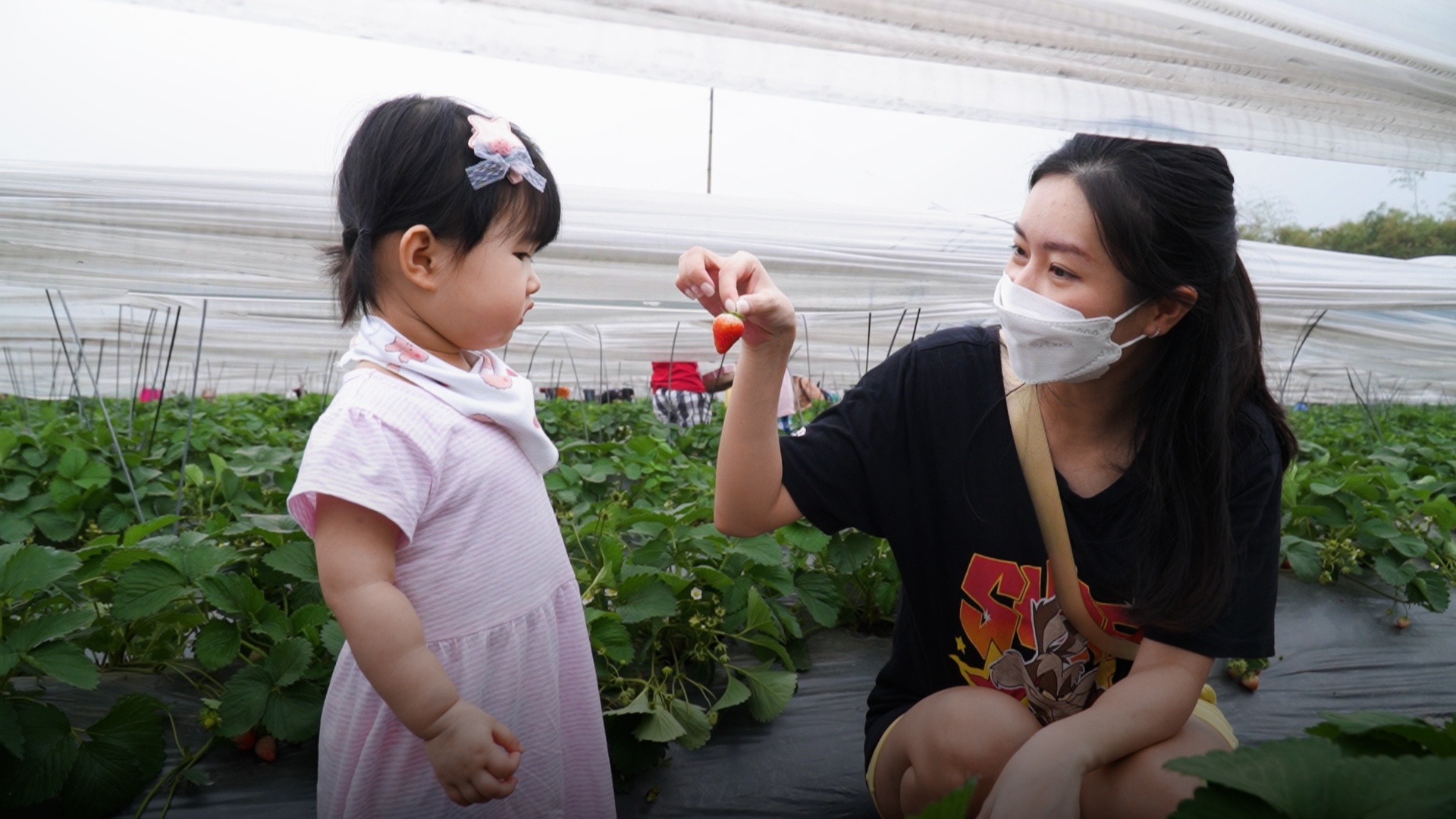 Nong trai dau tay kin khach cuoi tuan hinh anh