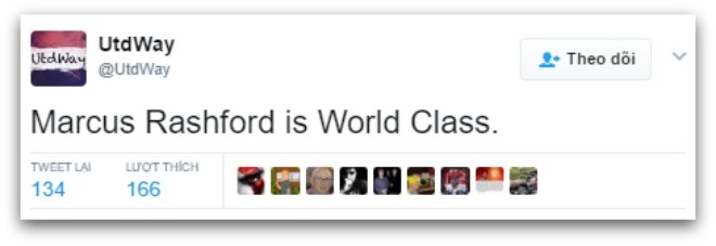 MU vs Anderlecht ảnh 2 MU vs Anderlecht anh 2