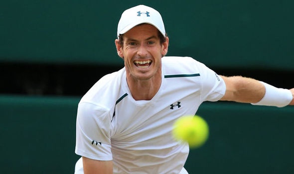 murray rút lui ảnh 1 murray rut lui anh 1