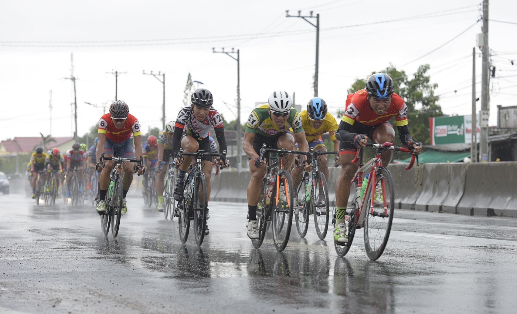 xe đạp btv nhựa hoa sen ảnh 1 xe dap btv nhua hoa sen anh 1