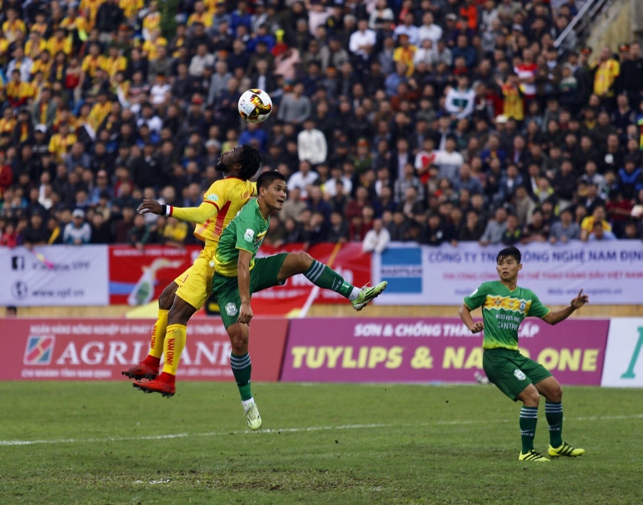 nam dinh v.league anh 9