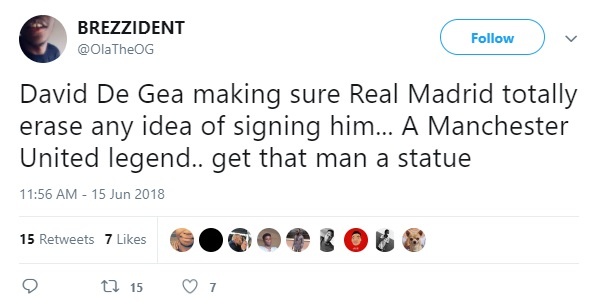 de gea world cup anh 3