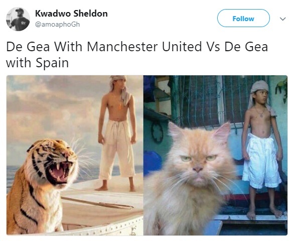 de gea world cup anh 8