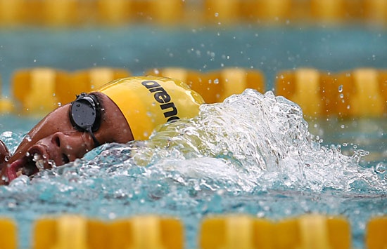 asiad ảnh 1 asiad anh 1