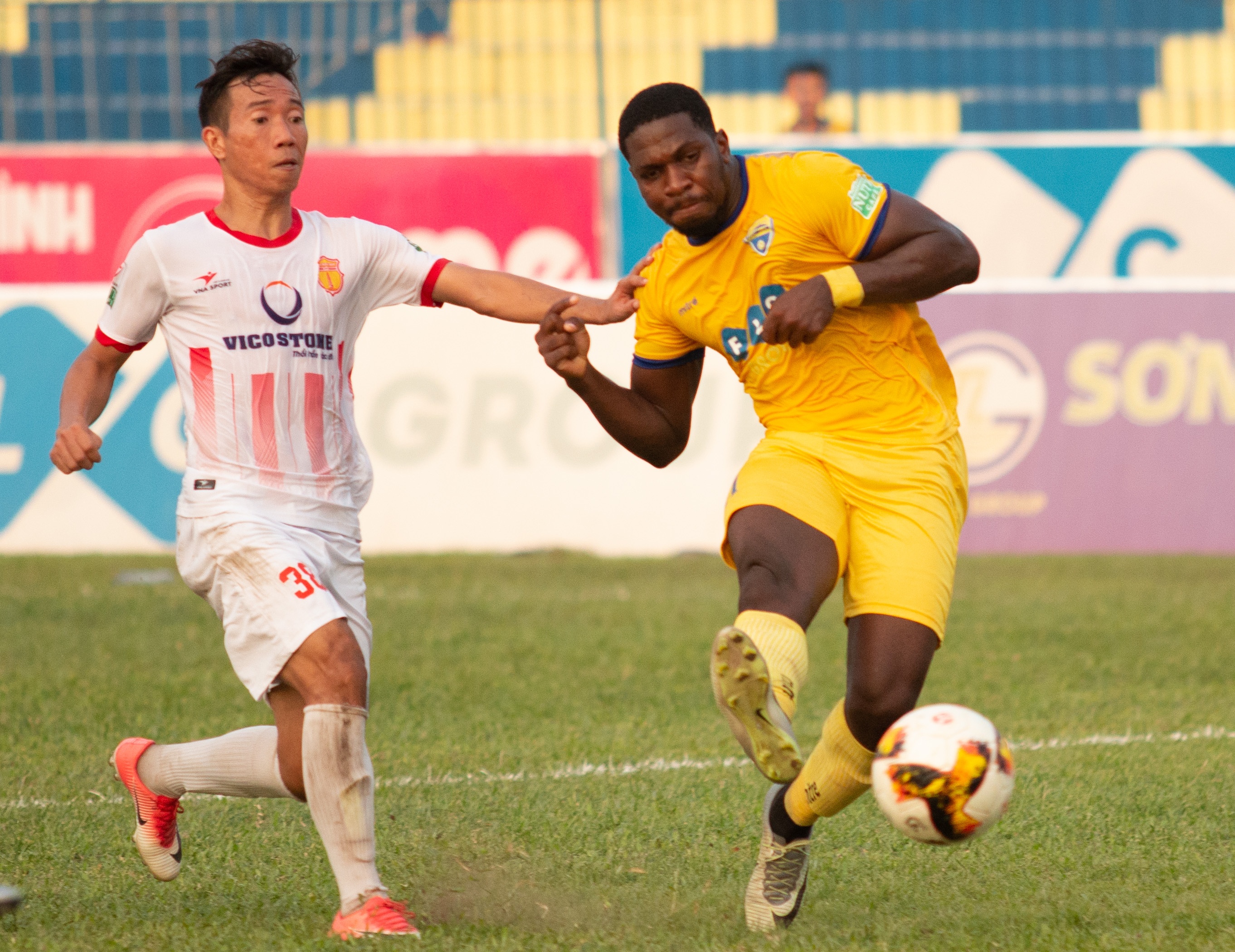 thanh hoa nam dinh anh 5