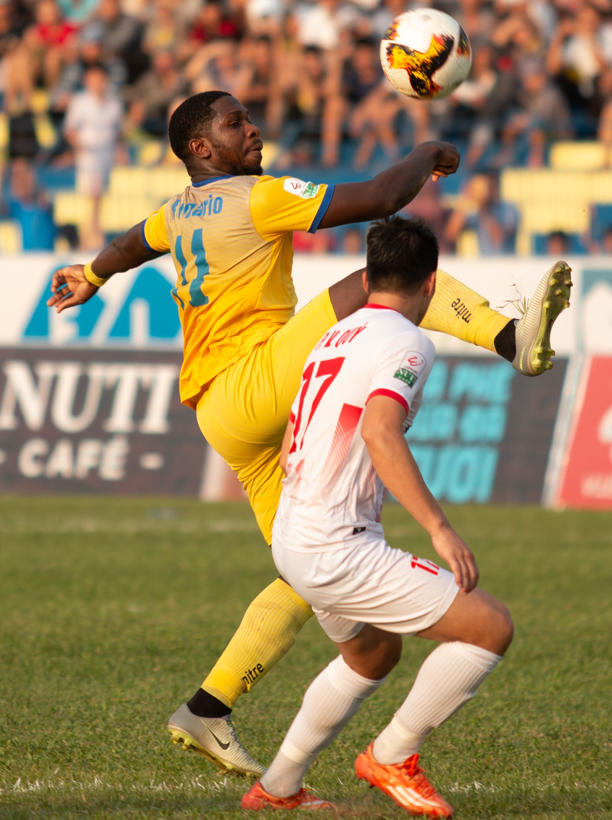 thanh hoa nam dinh anh 6