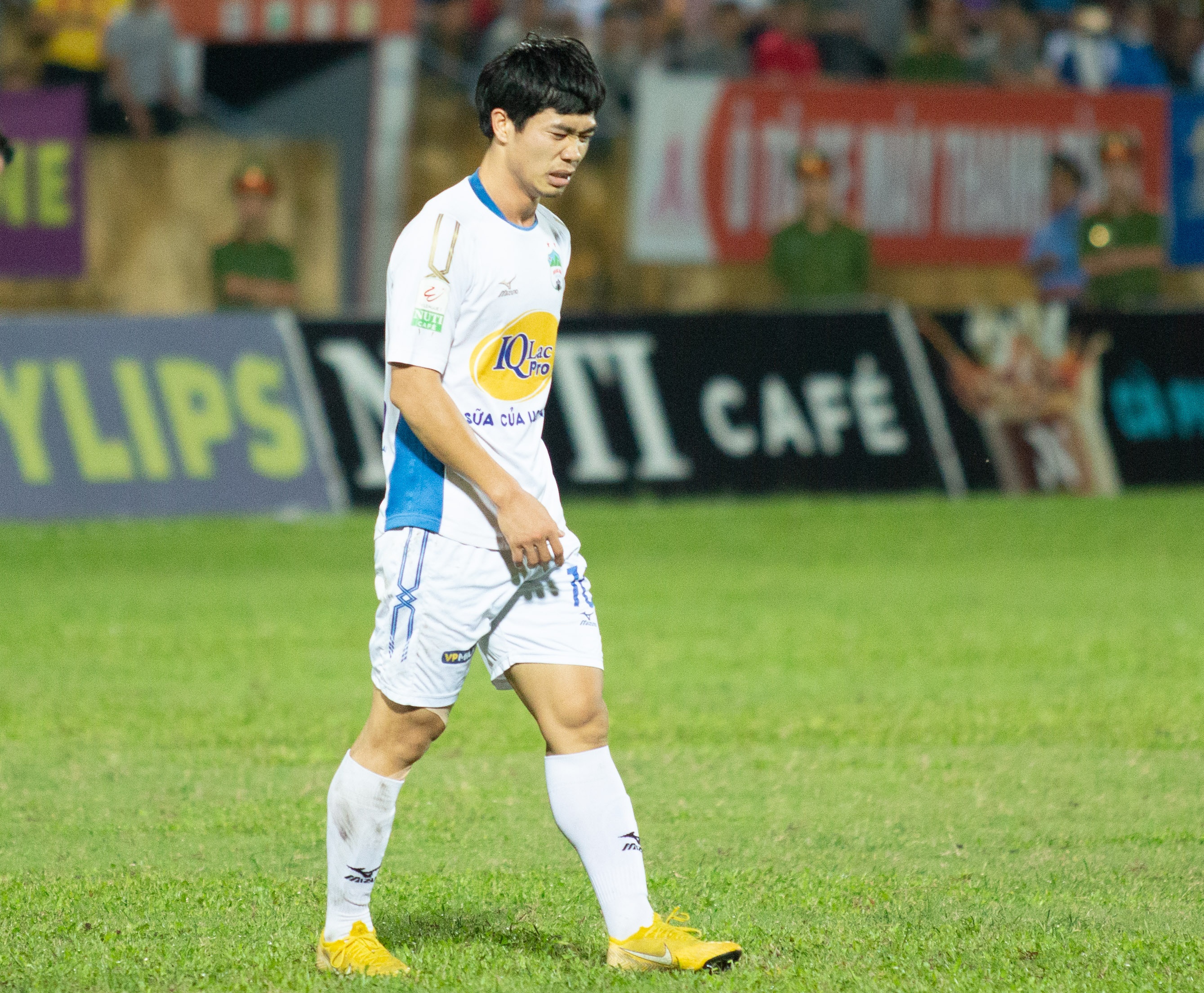 hoang anh gia lai nam dinh anh 4