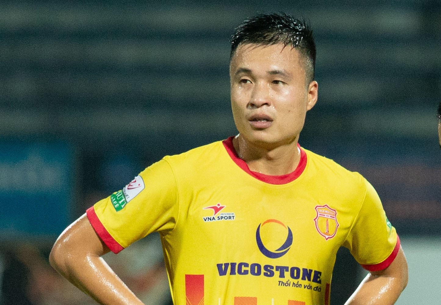 Dinh Viet Tu - canh chim la cua tuyen Viet Nam hinh anh